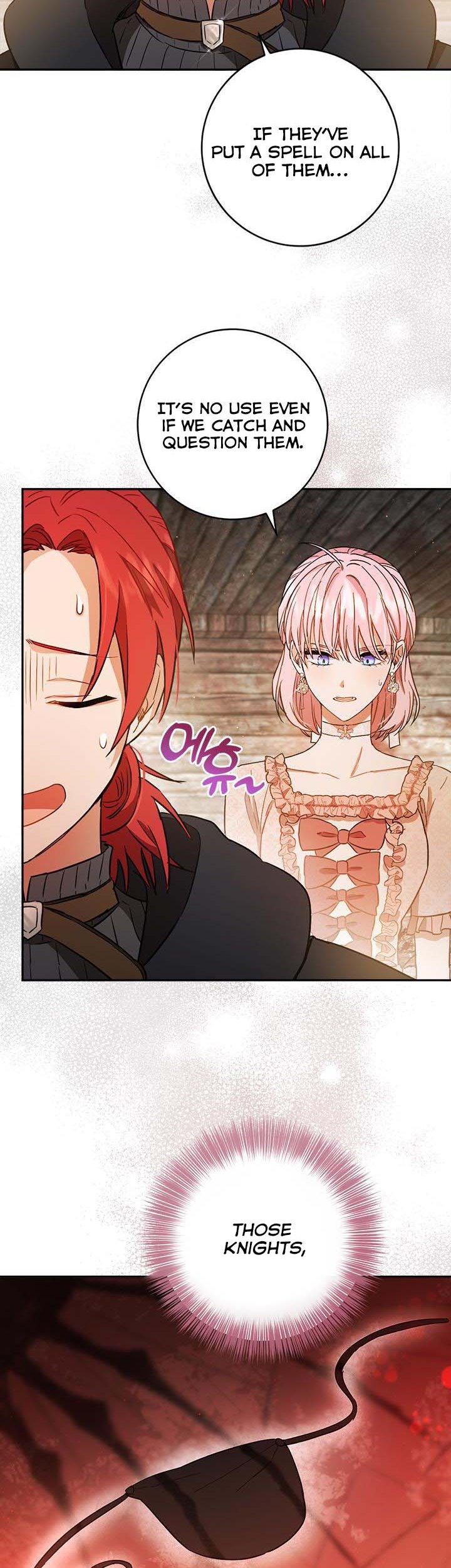 The Princess’s Double Life Chapter 61 65 9