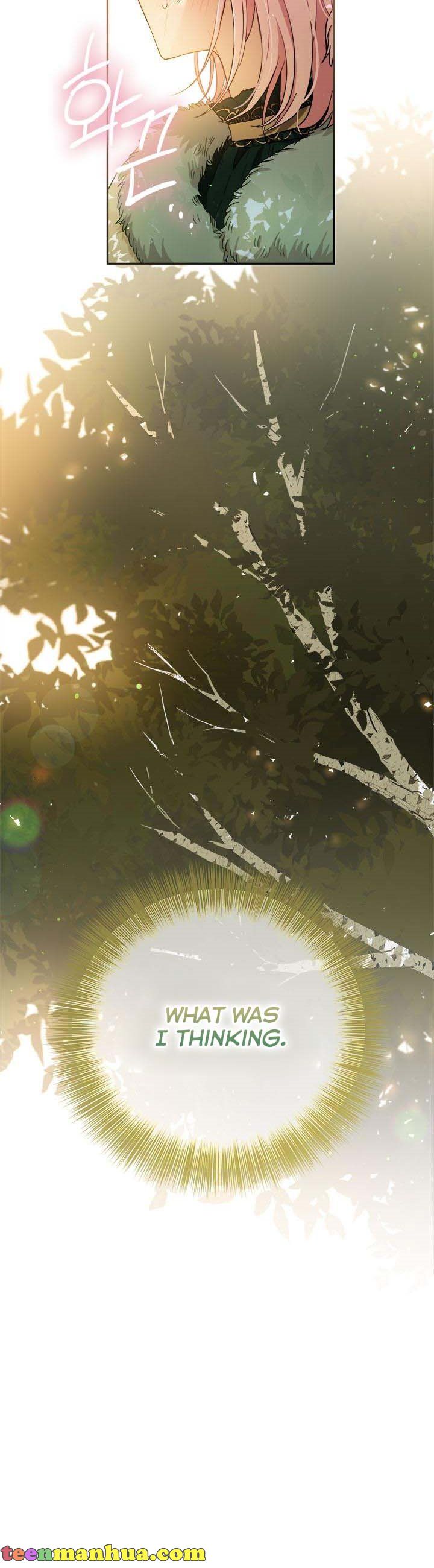 The Princess’s Double Life Chapter 68 135 08