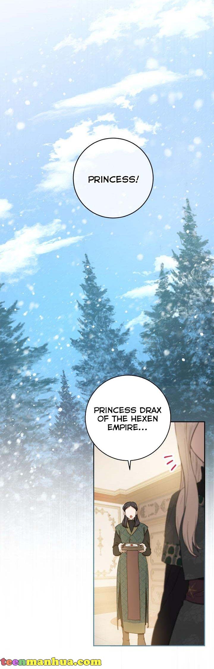 The Princess’s Double Life Chapter 68 155 28