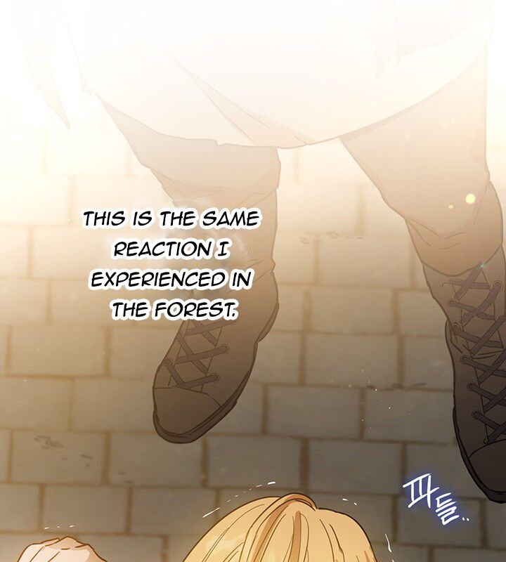 The Princess’s Double Life Chapter 7 375 056