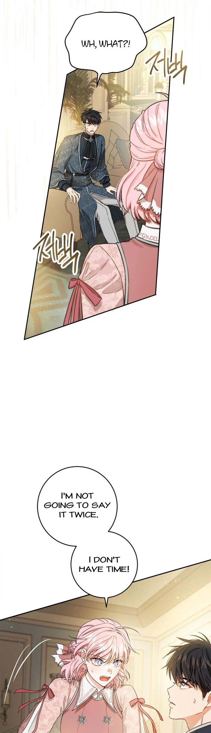 The Princess’s Double Life Chapter 71 117 1