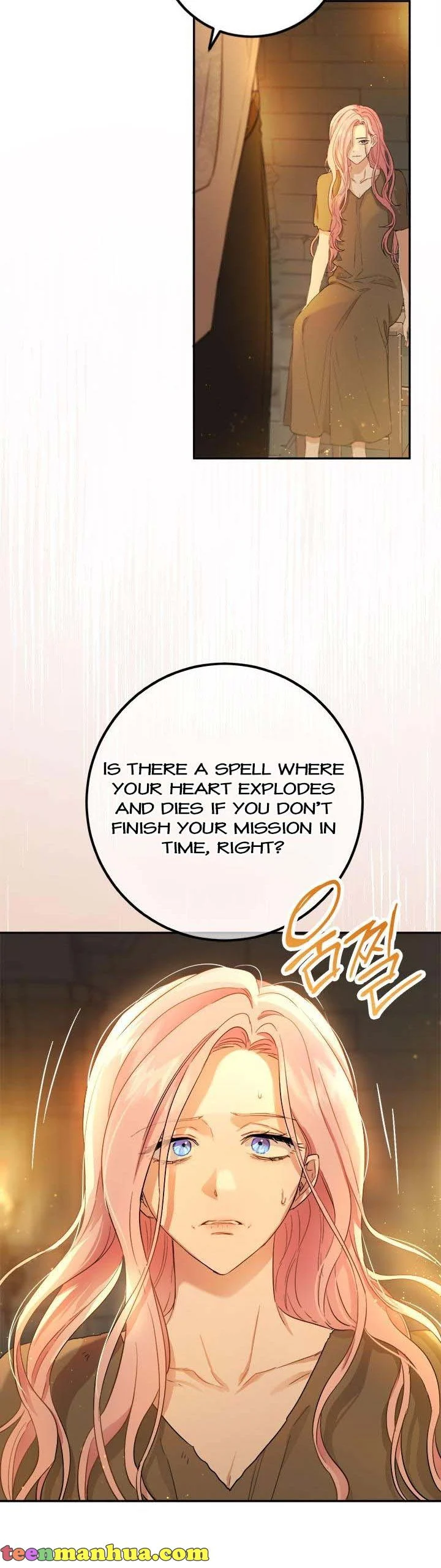 The Princess’s Double Life Chapter 71 138 22