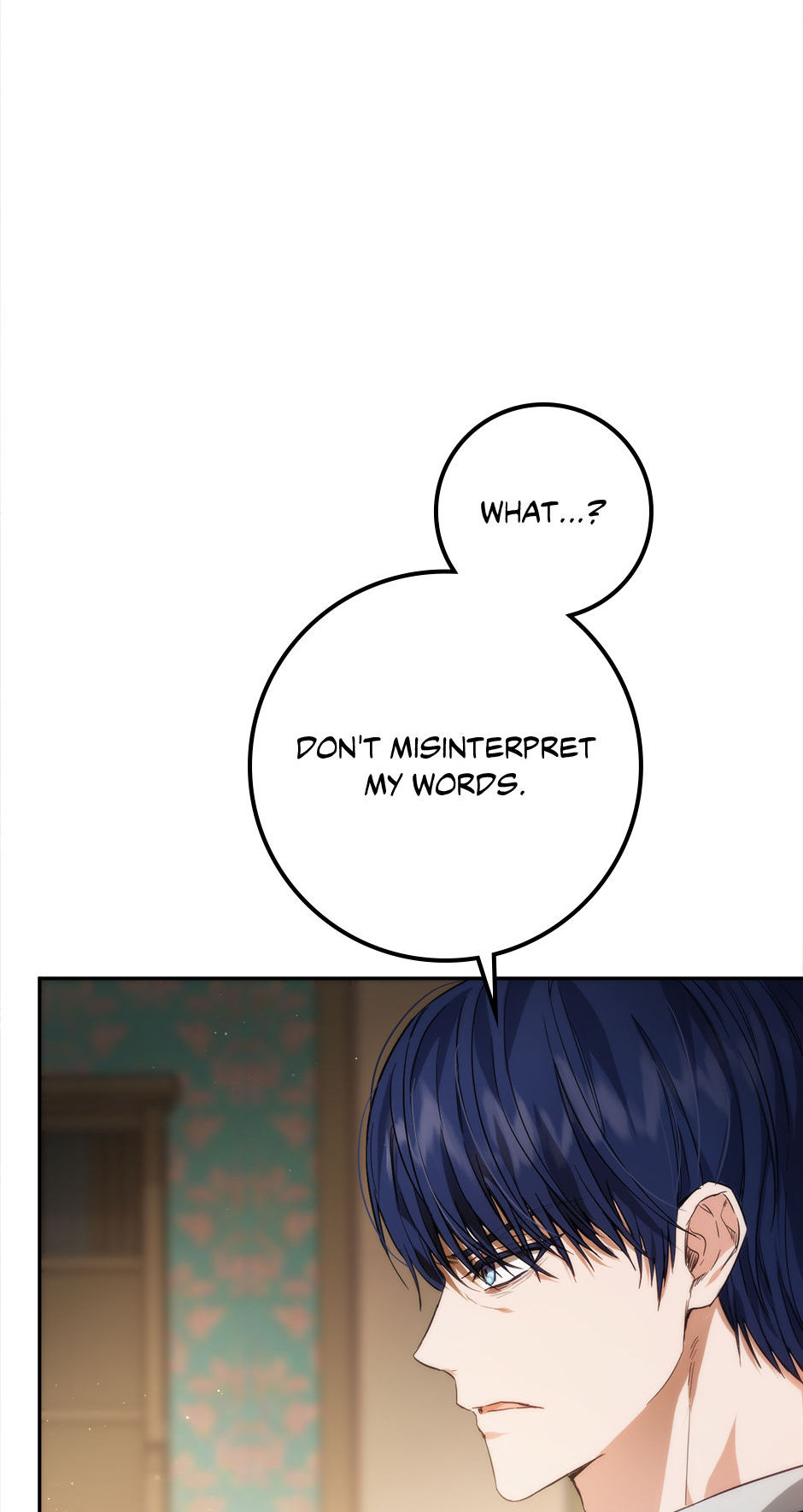 The Princess’s Double Life Chapter 80 225 11