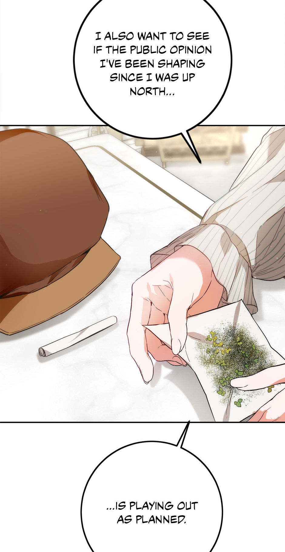 The Princess’s Double Life Chapter 81 236 10