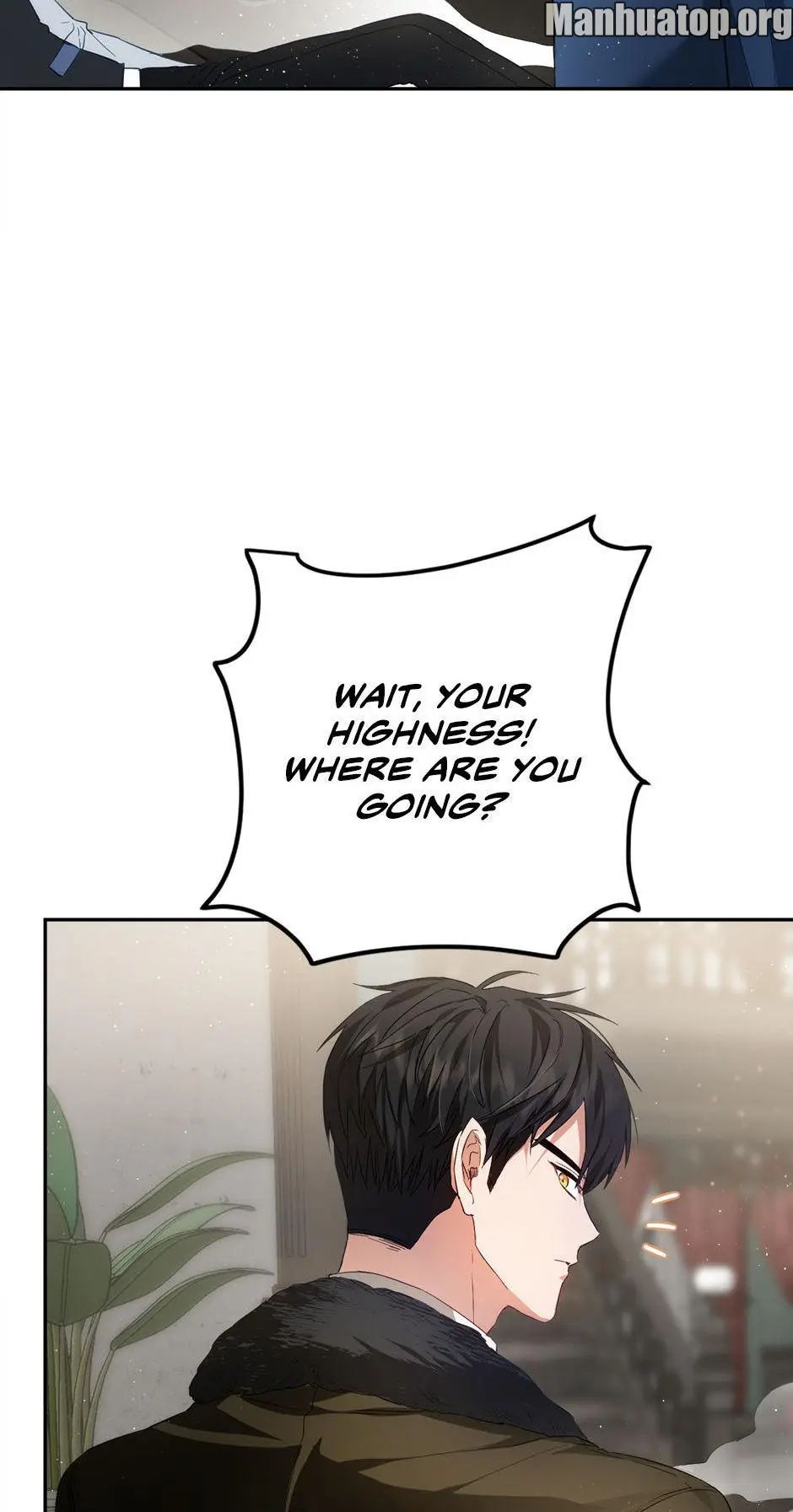 The Princess’s Double Life Chapter 82 274 30