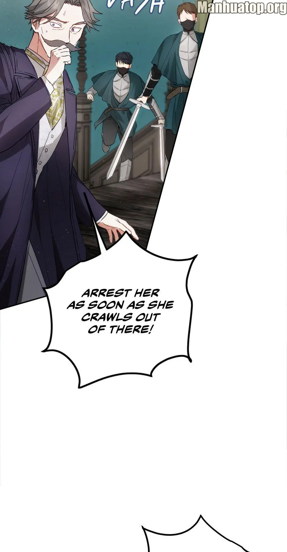 The Princess’s Double Life Chapter 82 315 71