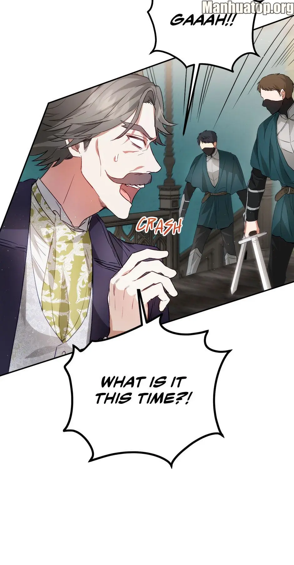 The Princess’s Double Life Chapter 82 316 72