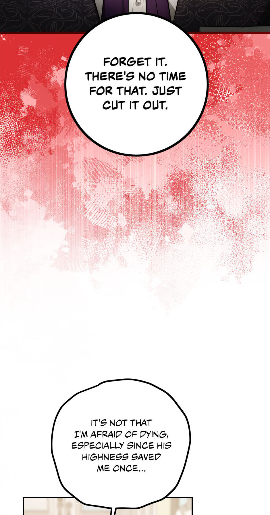 The Princess’s Double Life Chapter 85 293 25