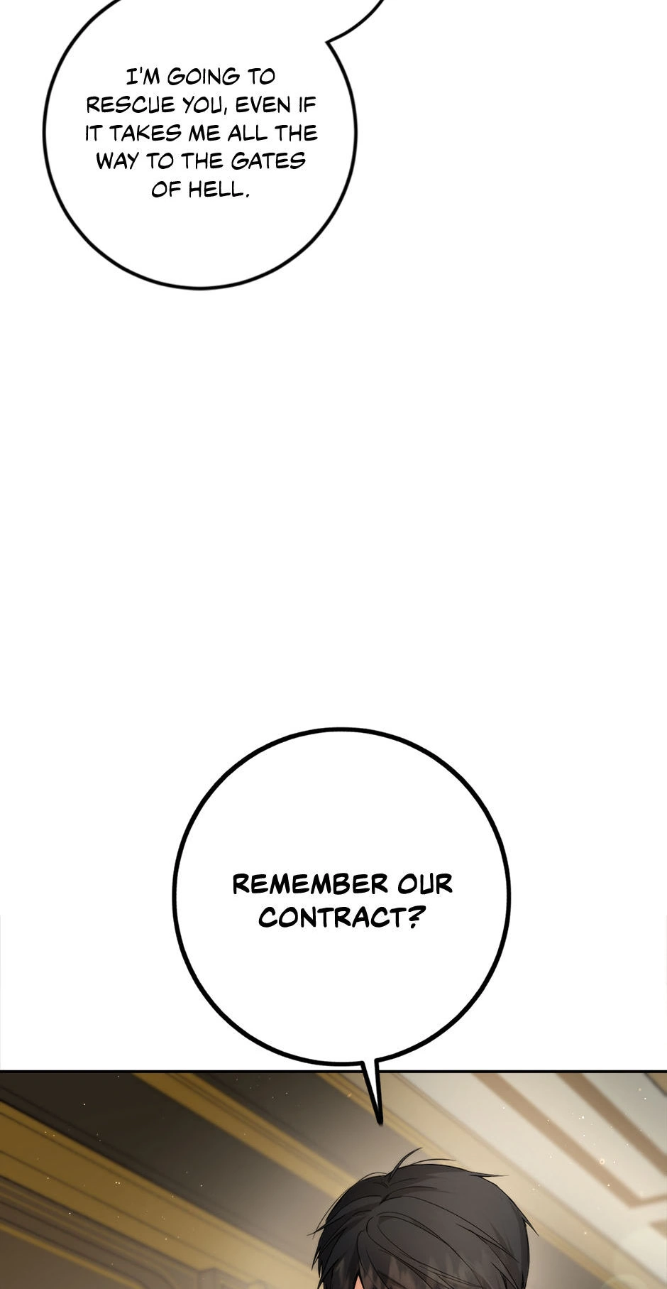 The Princess’s Double Life Chapter 85 335 67