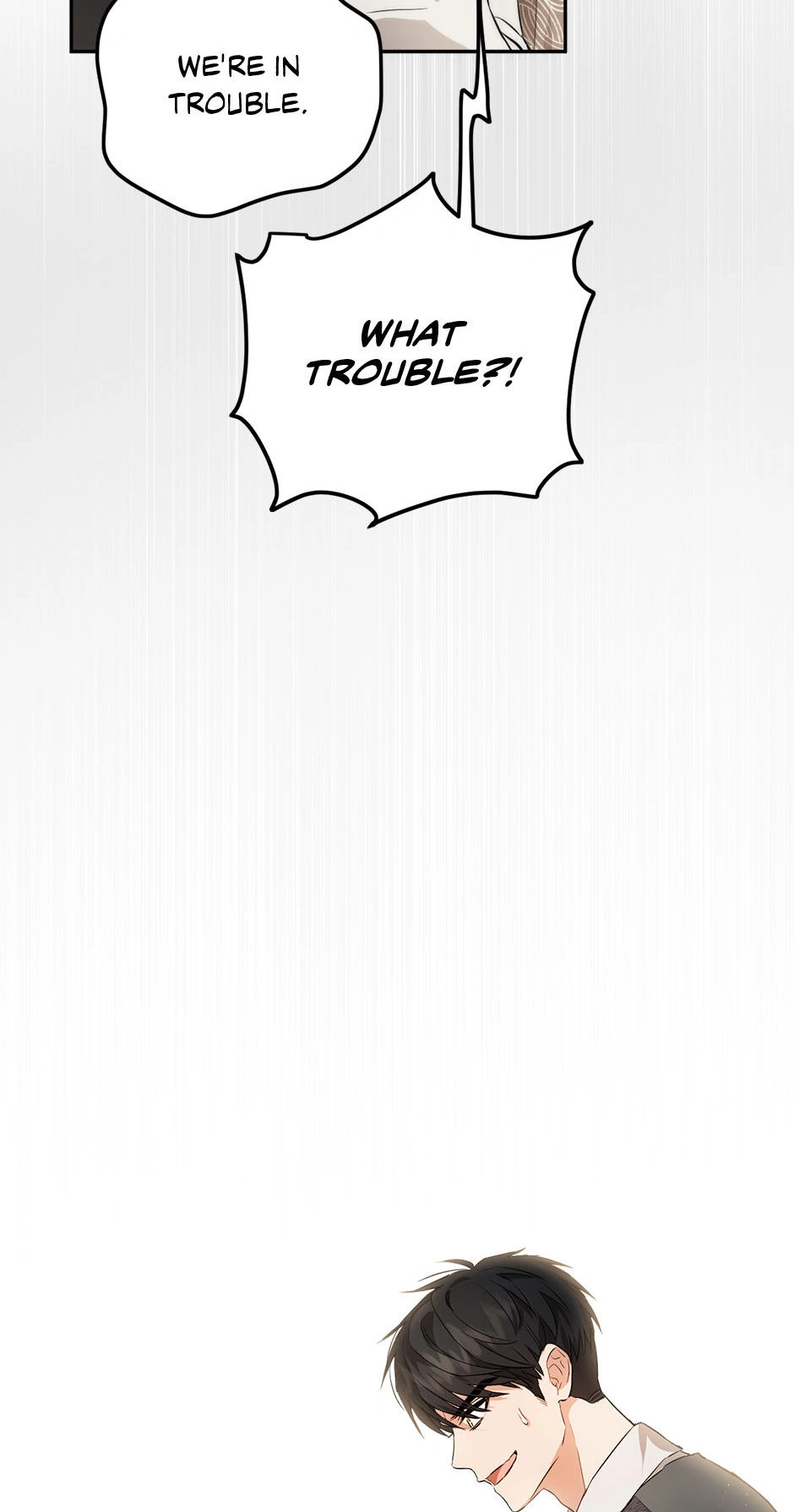 The Princess’s Double Life Chapter 85 352 84