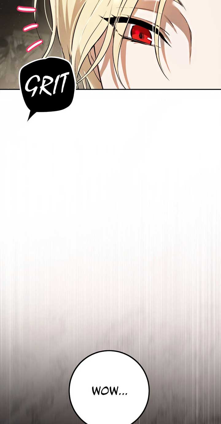 The Princess’s Double Life Chapter 87 271 12