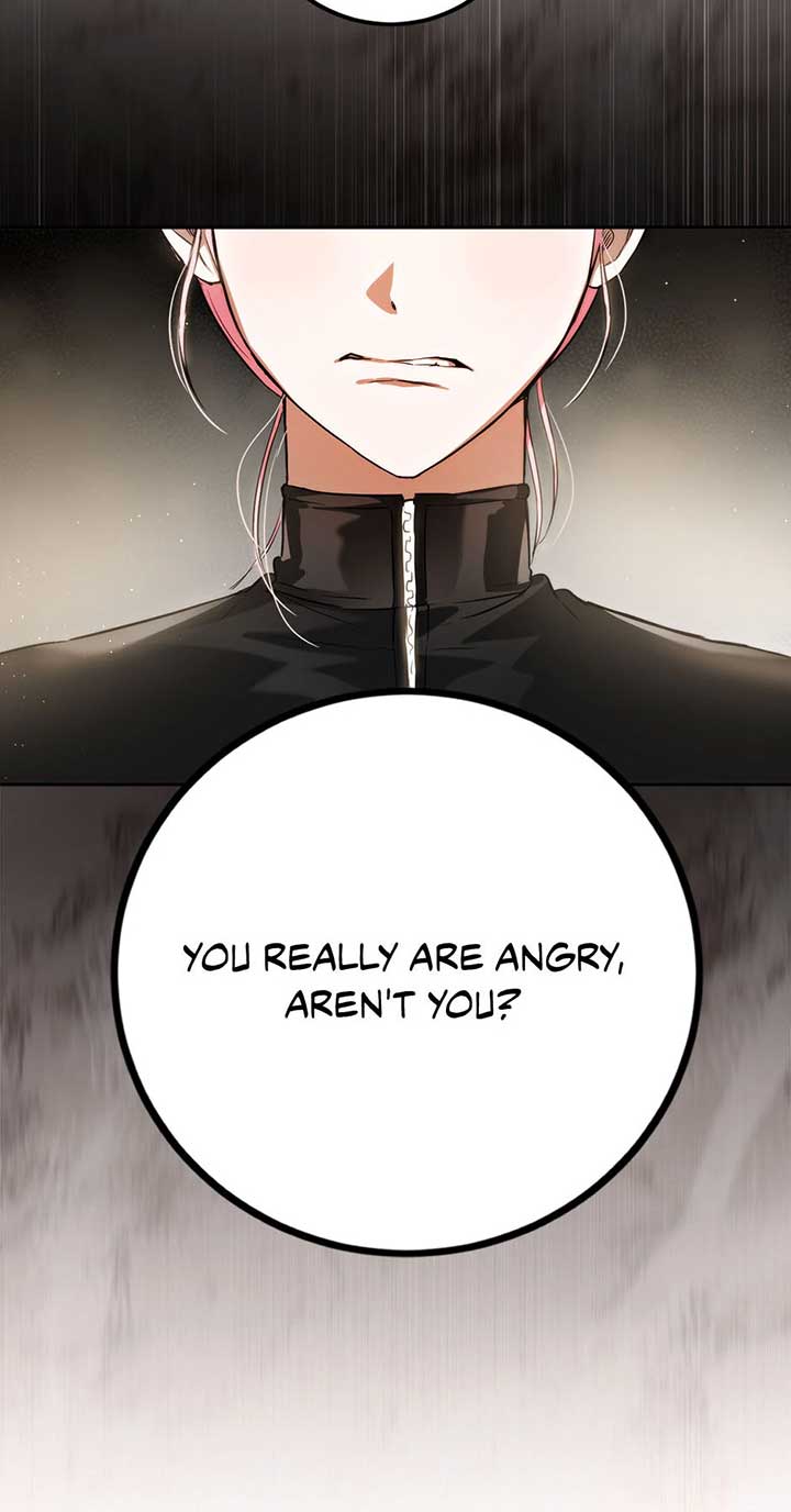 The Princess’s Double Life Chapter 87 272 13