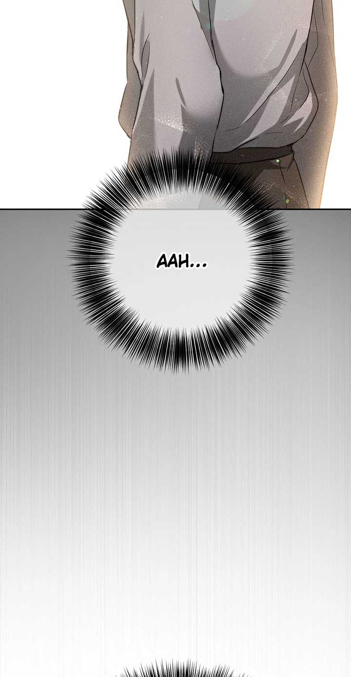 The Princess’s Double Life Chapter 87 300 41