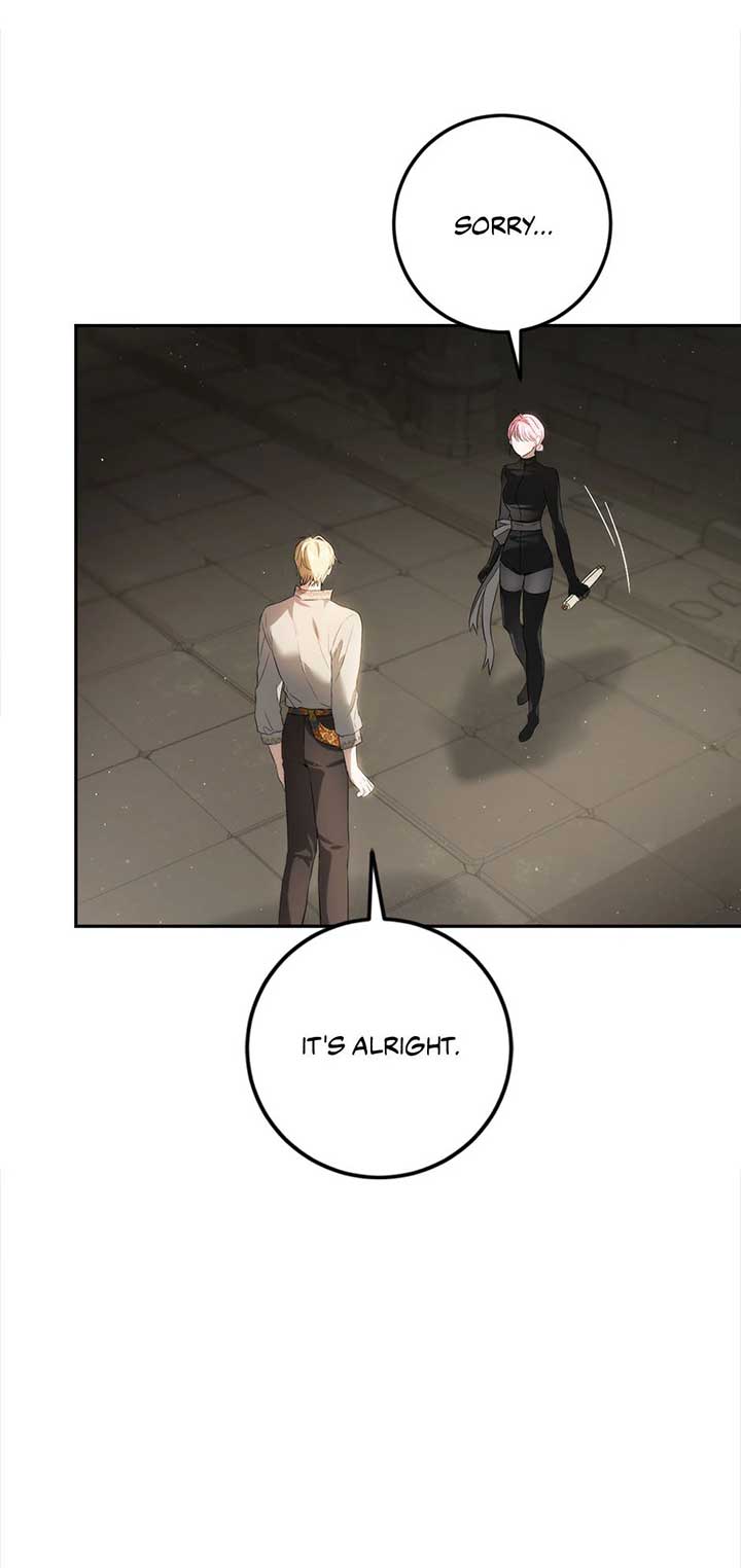 The Princess’s Double Life Chapter 87 309 50