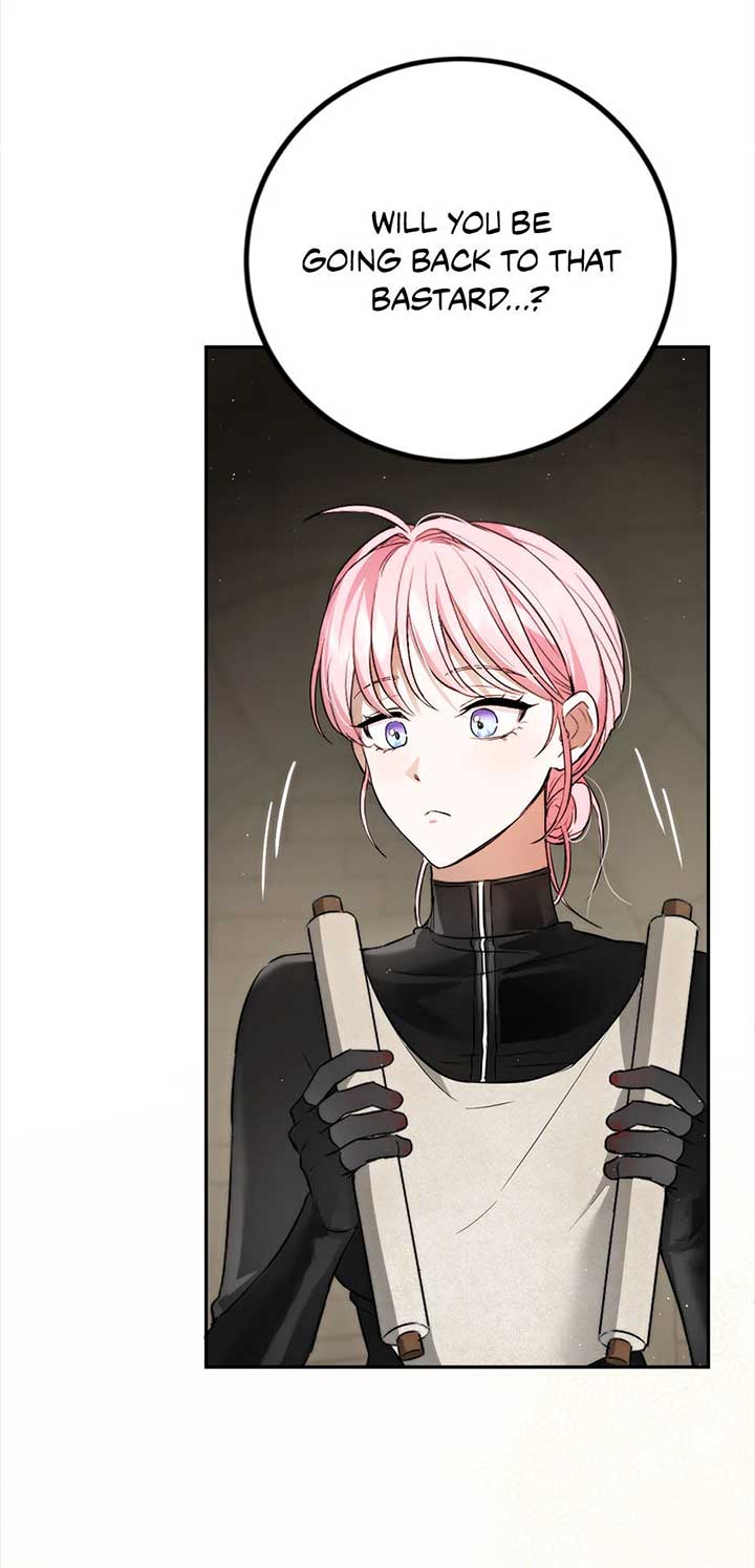 The Princess’s Double Life Chapter 87 312 53