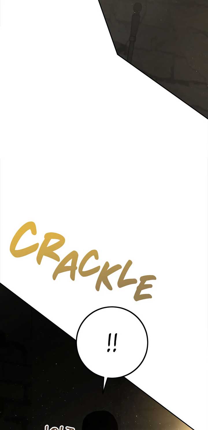 The Princess’s Double Life Chapter 87 335 76