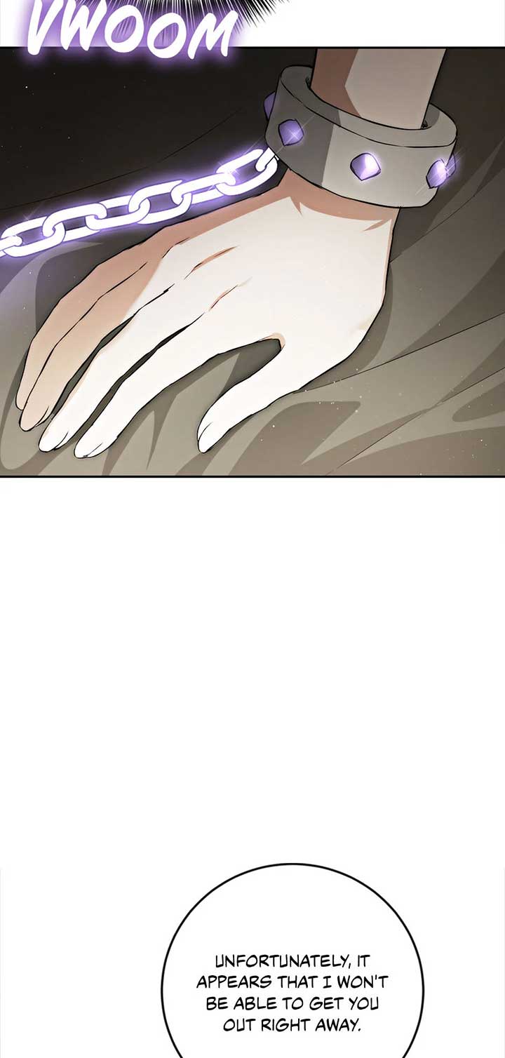 The Princess’s Double Life Chapter 88 277 06