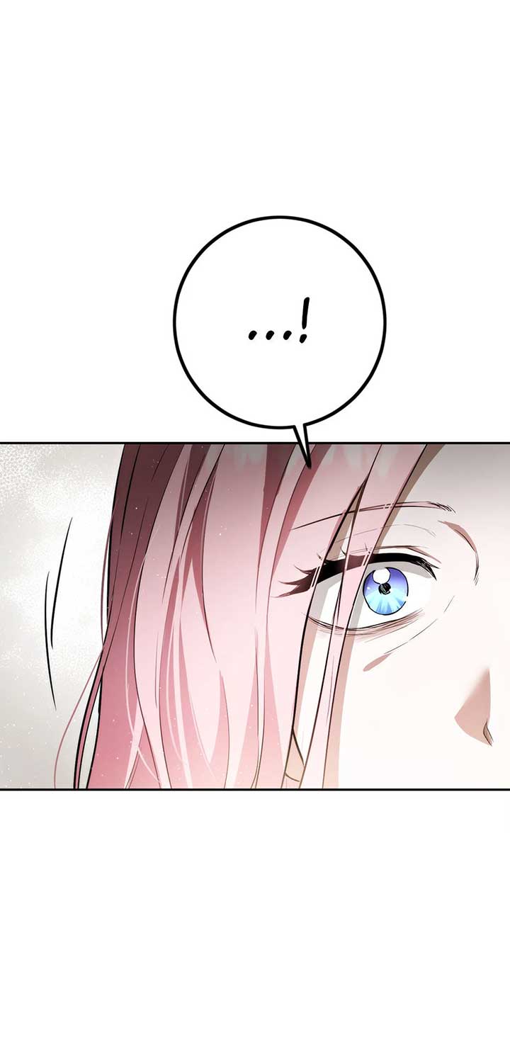 The Princess’s Double Life Chapter 88 287 16