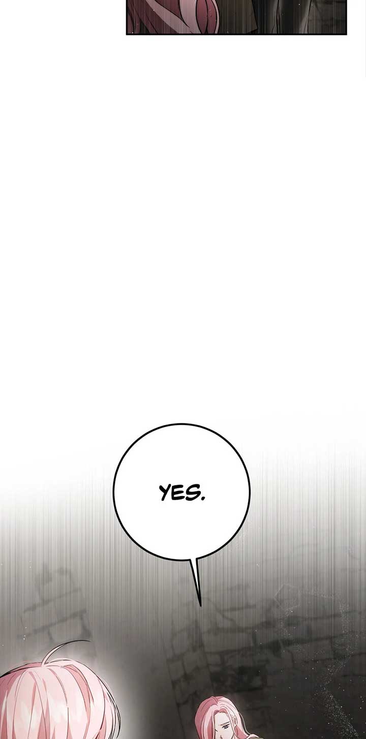 The Princess’s Double Life Chapter 88 289 18