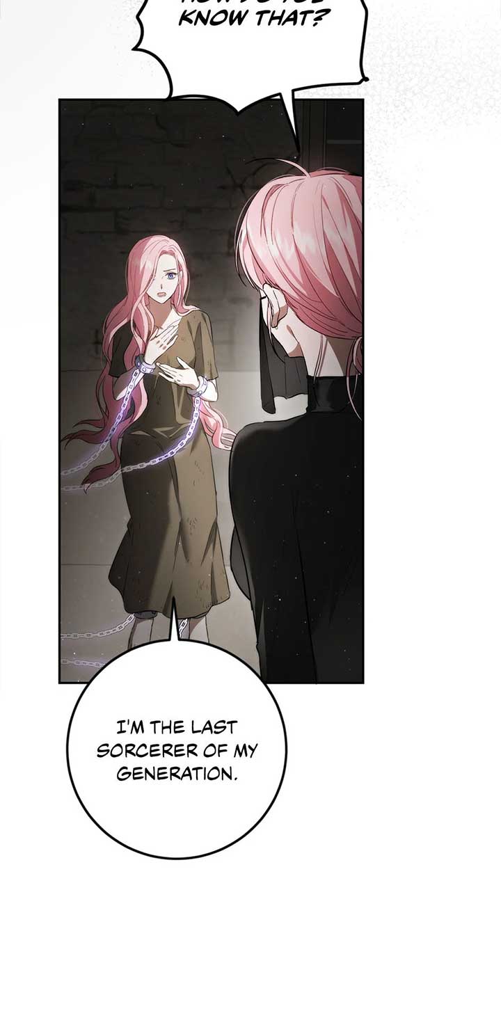 The Princess’s Double Life Chapter 88 294 23