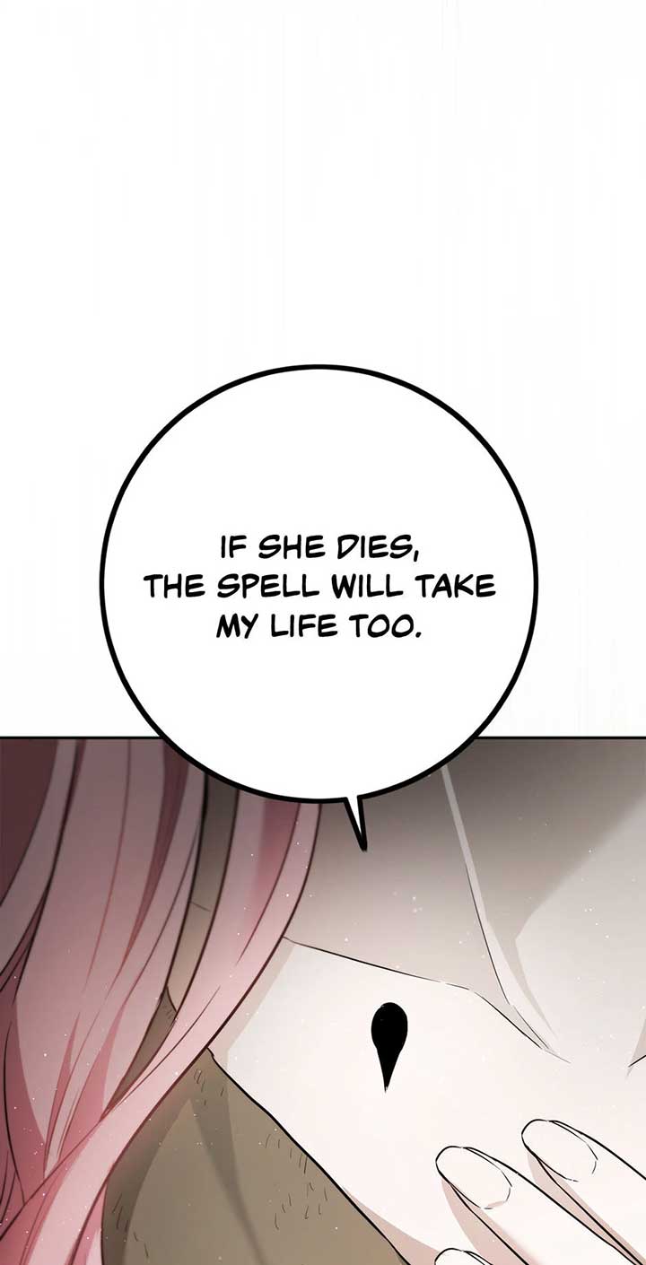 The Princess’s Double Life Chapter 88 297 26