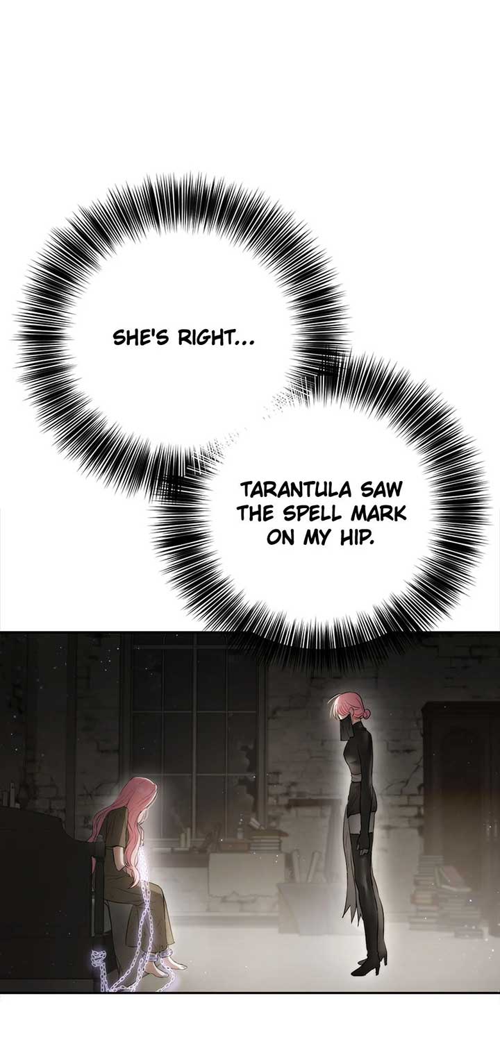 The Princess’s Double Life Chapter 88 303 32