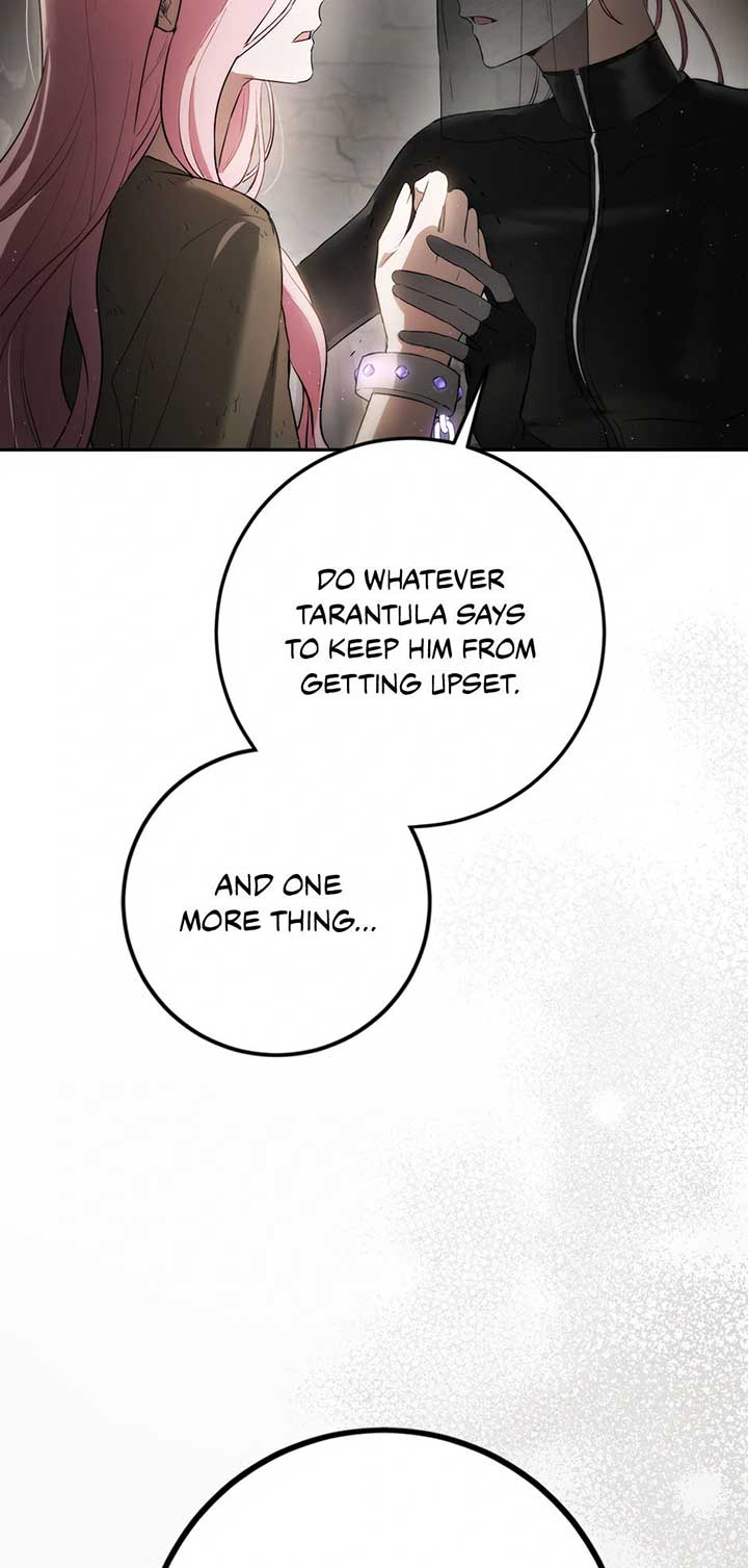 The Princess’s Double Life Chapter 88 309 38