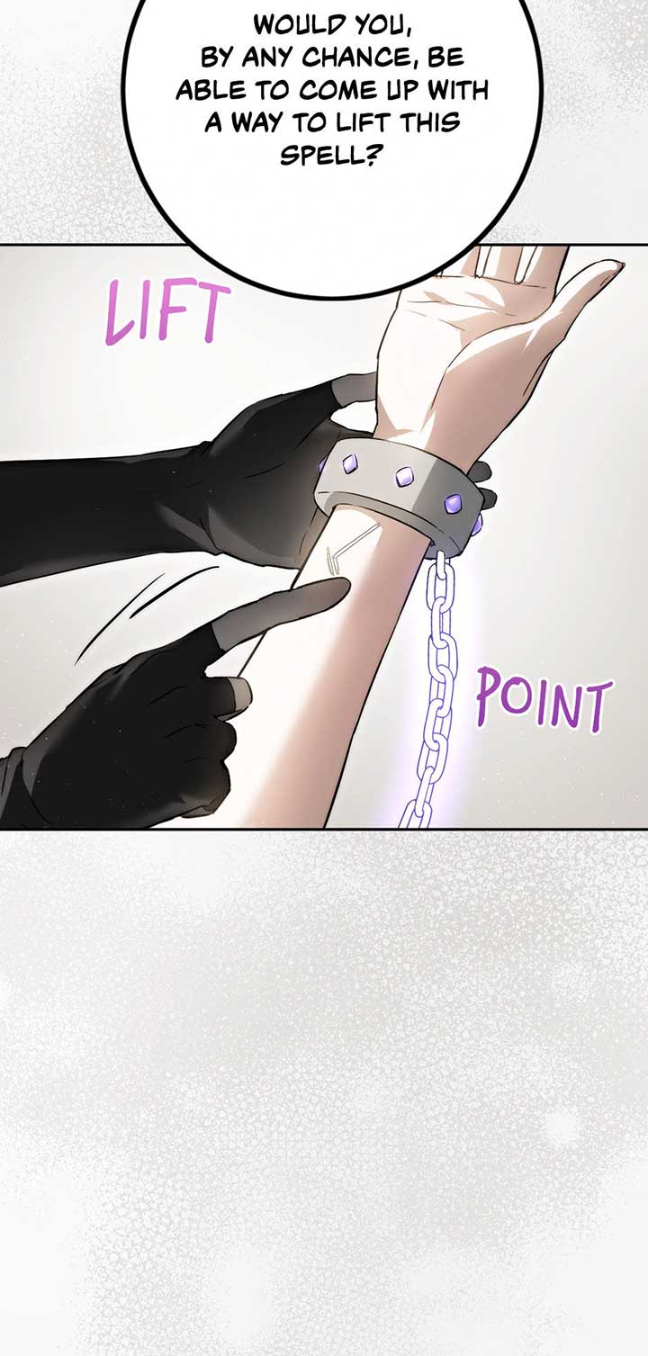 The Princess’s Double Life Chapter 88 310 39