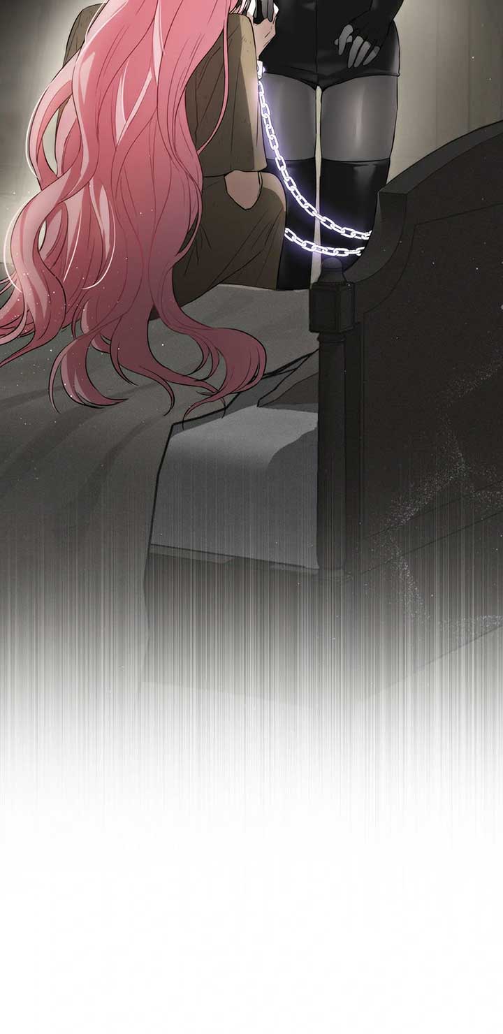 The Princess’s Double Life Chapter 88 317 46