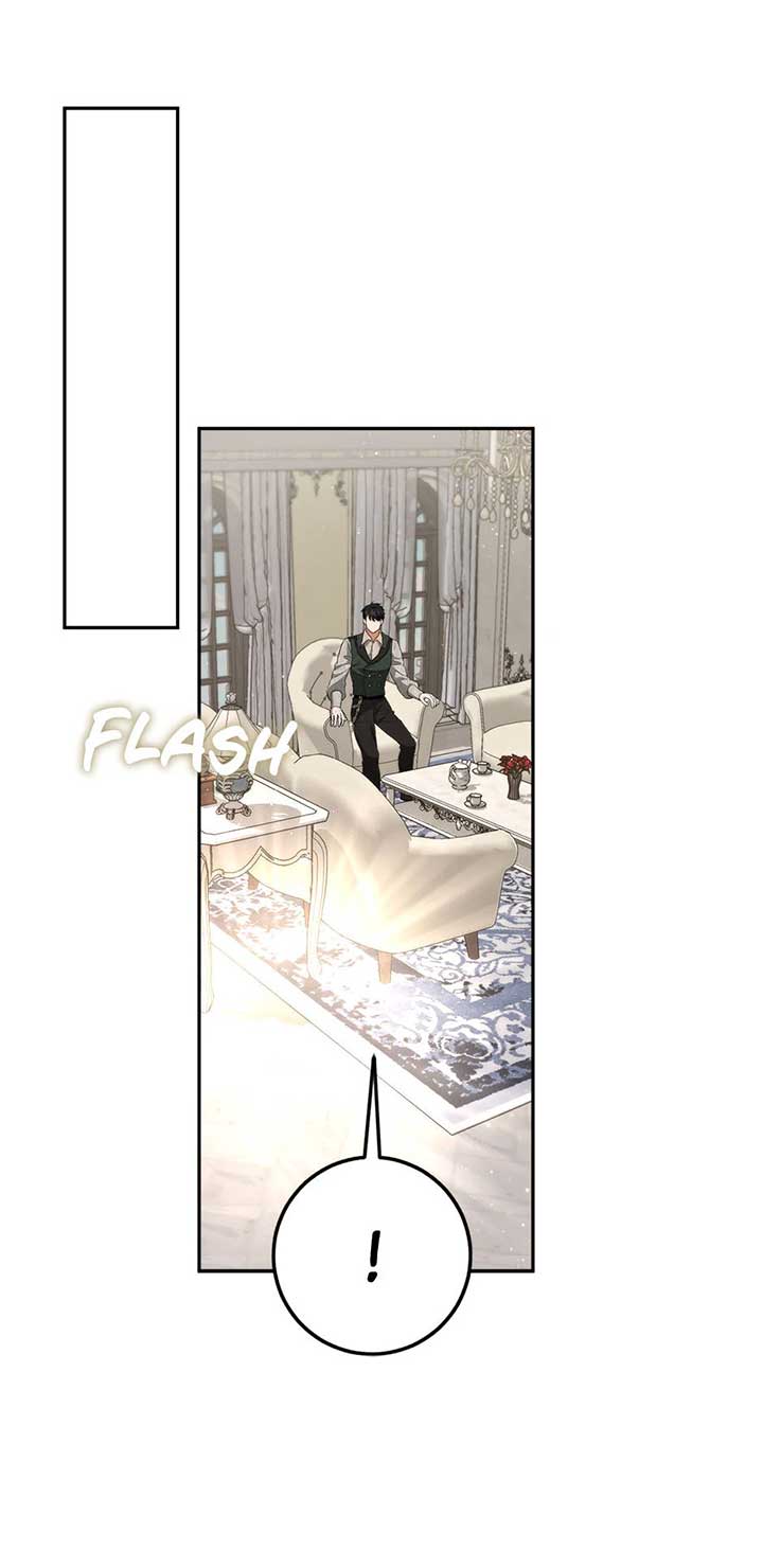 The Princess’s Double Life Chapter 88 319 48