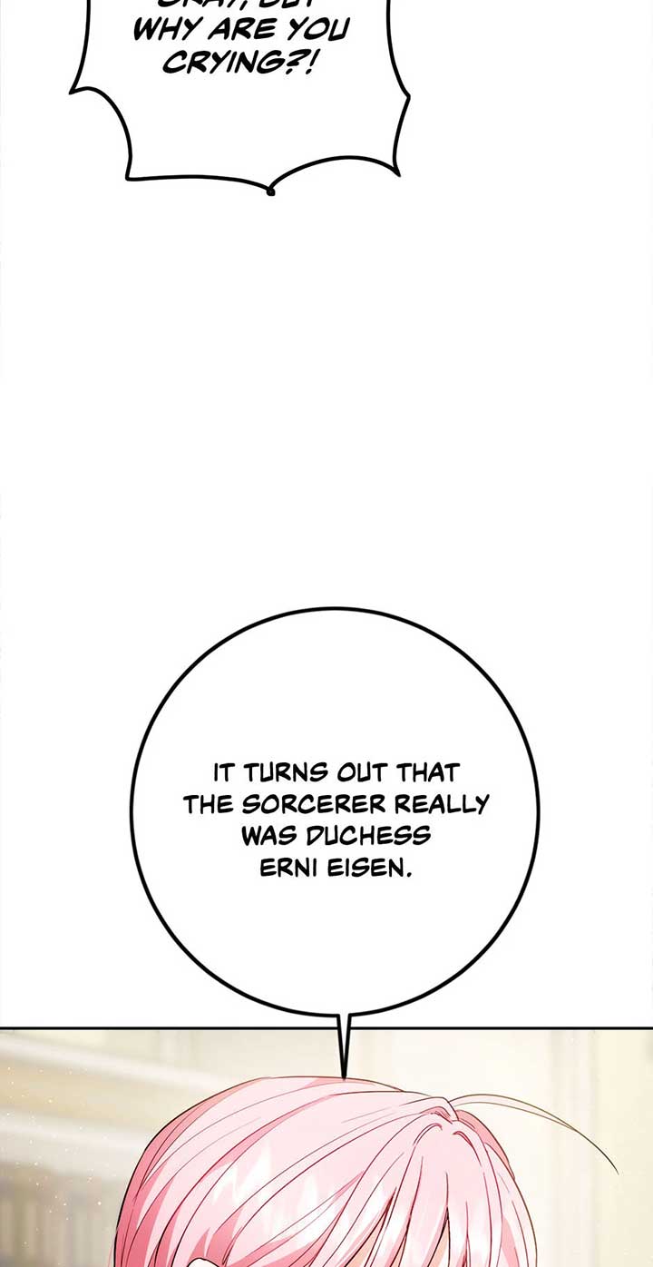 The Princess’s Double Life Chapter 88 331 60