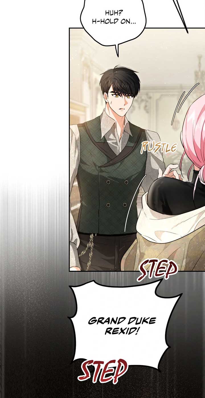 The Princess’s Double Life Chapter 88 335 64