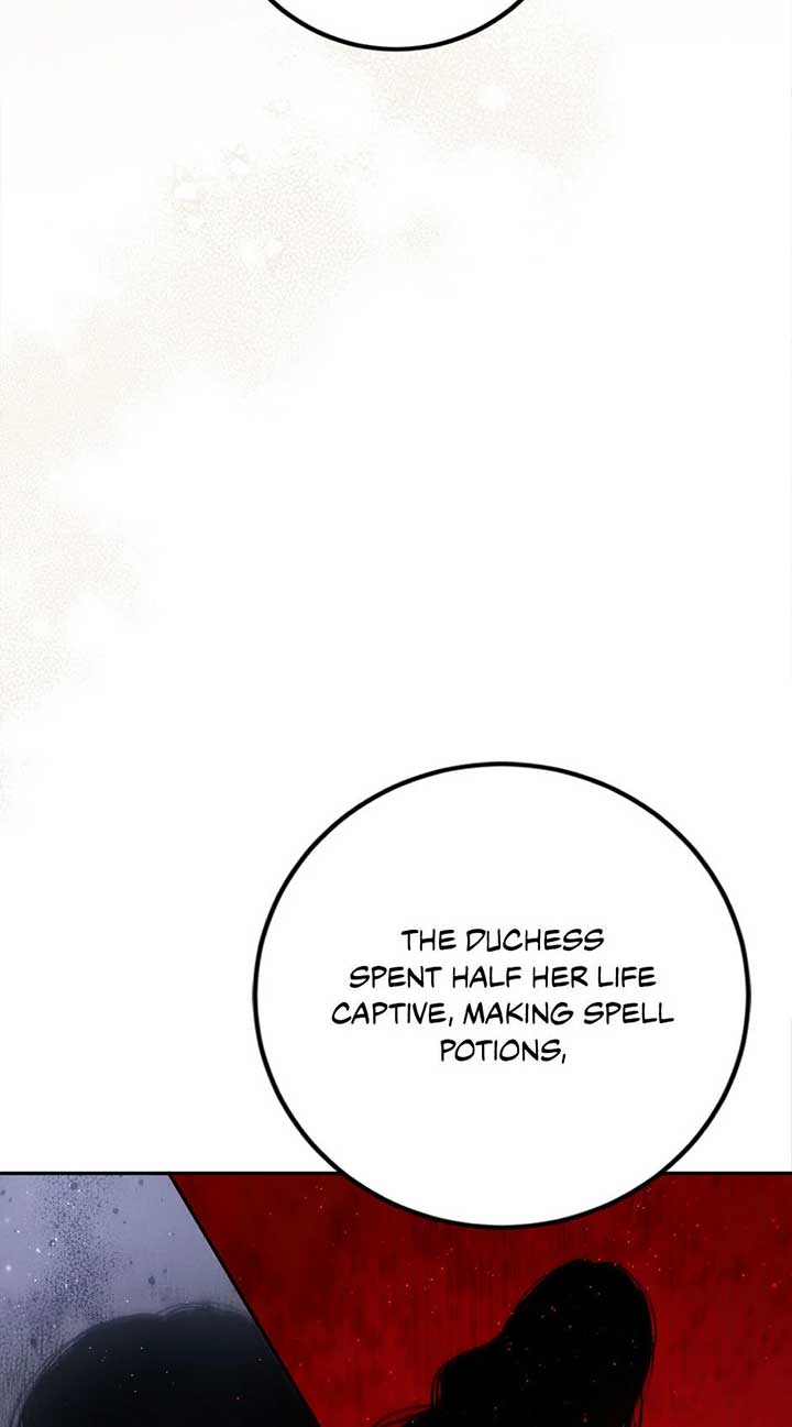 The Princess’s Double Life Chapter 89 309 ch 89 23