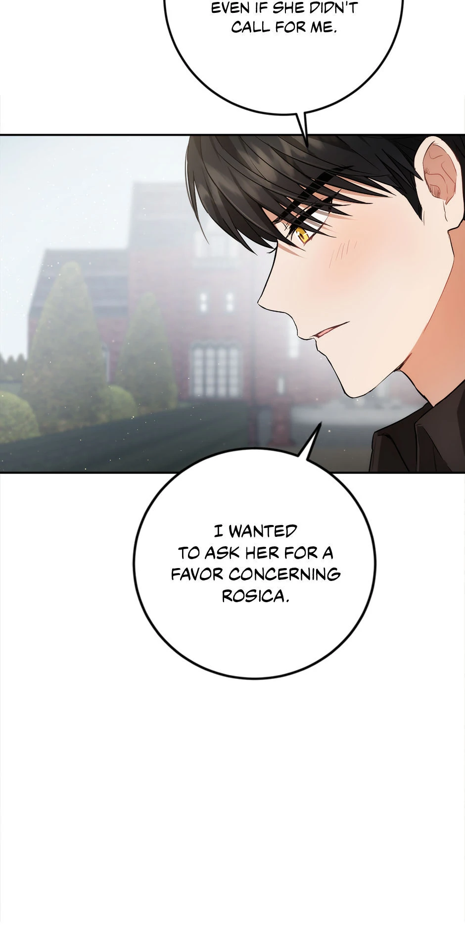 The Princess’s Double Life Chapter 90 318 ch 90 65