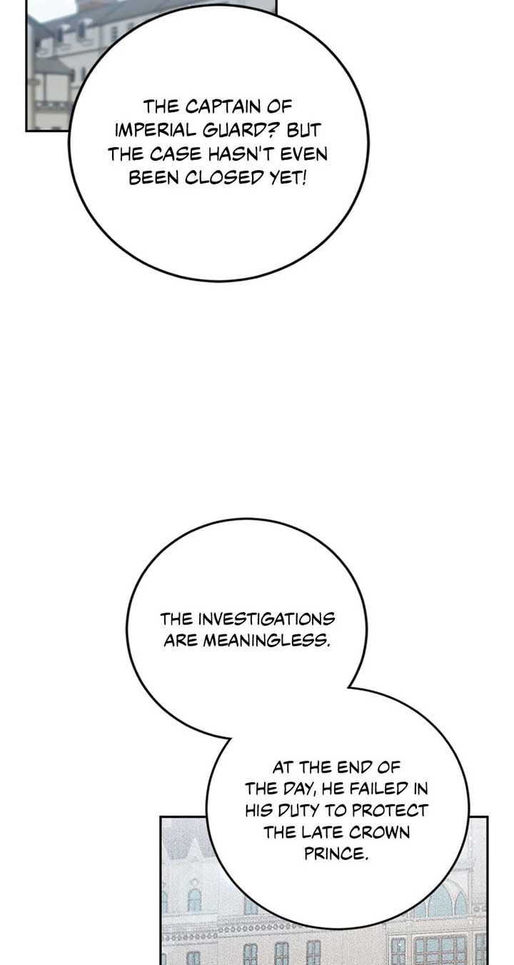 The Princess’s Double Life Chapter 93 252 02