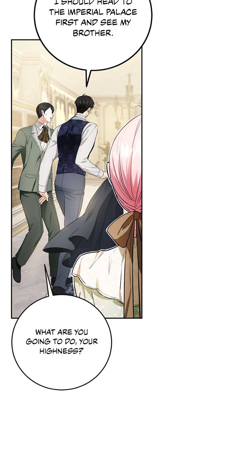 The Princess’s Double Life Chapter 93 265 15