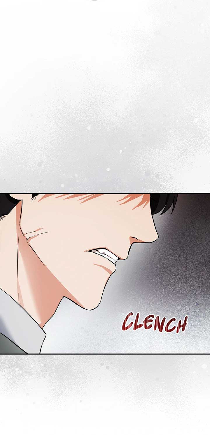 The Princess’s Double Life Chapter 93 273 23