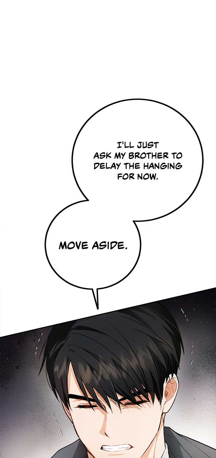 The Princess’s Double Life Chapter 93 277 27