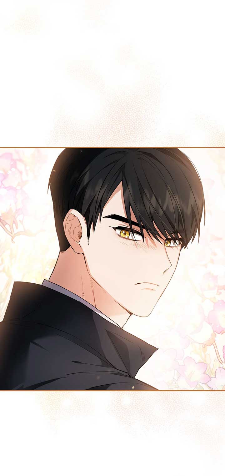 The Princess’s Double Life Chapter 93 281 31