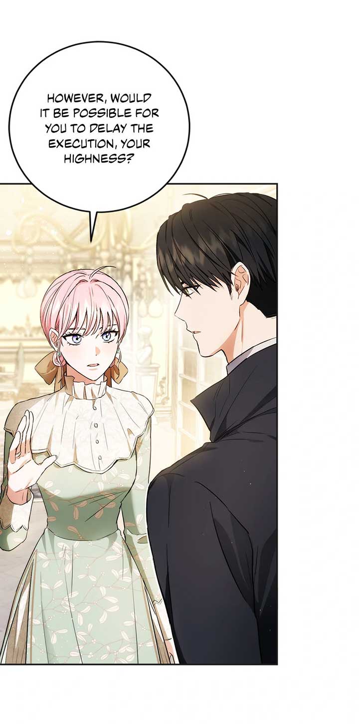 The Princess’s Double Life Chapter 93 289 39