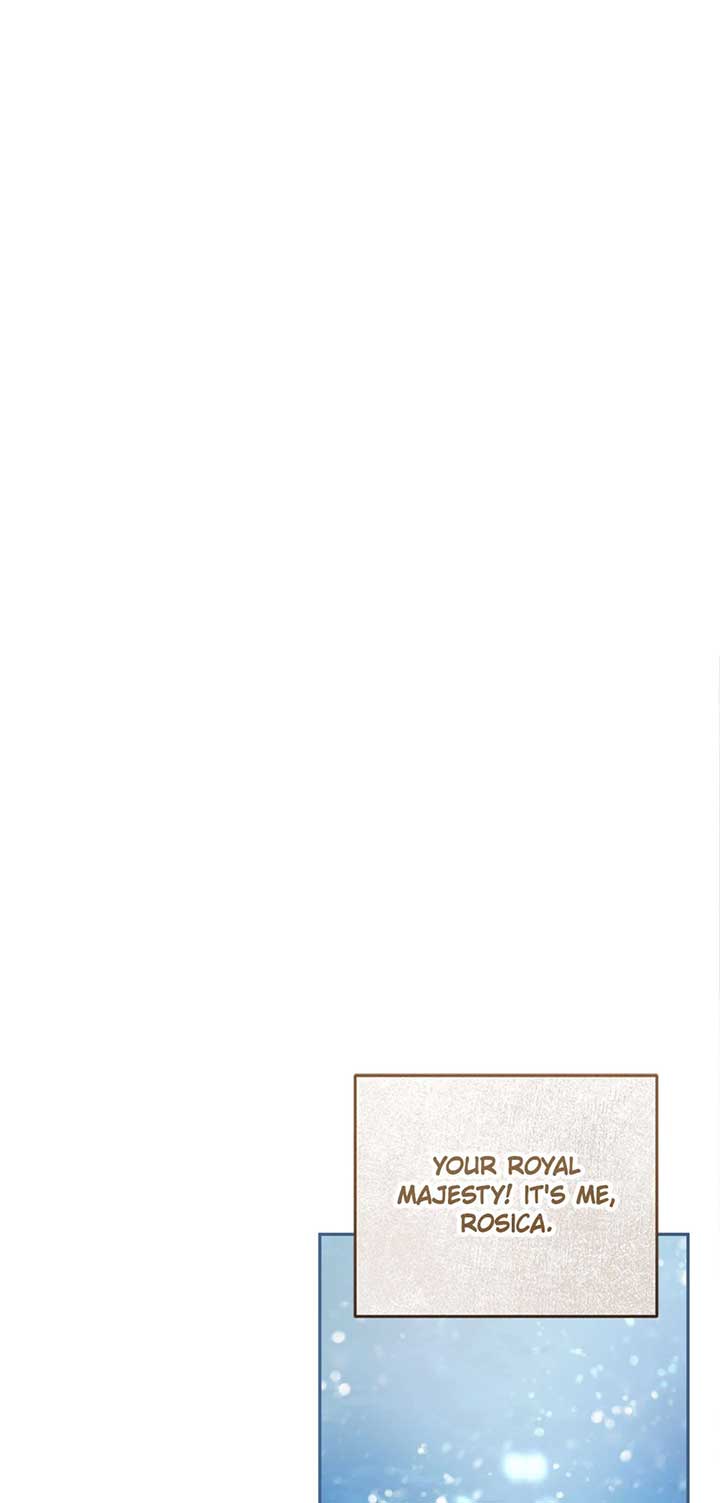 The Princess’s Double Life Chapter 93 322 72