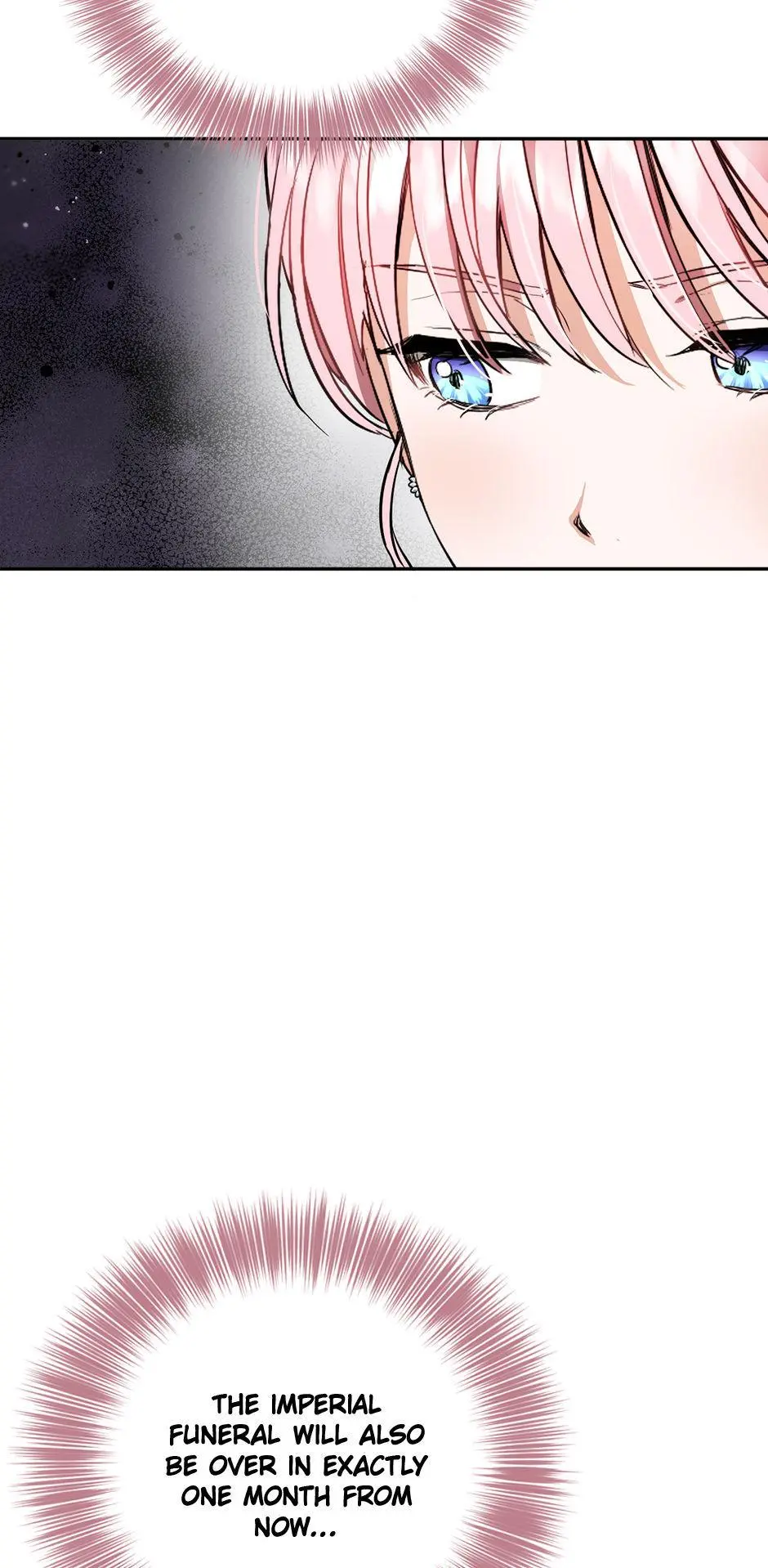 The Princess’s Double Life Chapter 94 261 ch 94 5