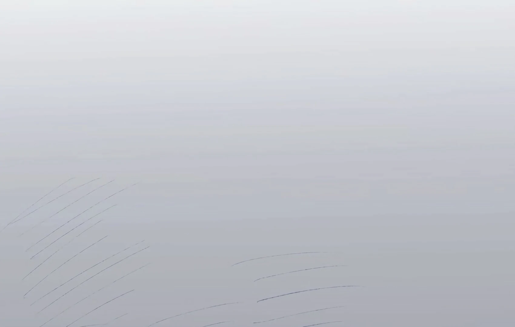 The Rabbit Trapped In Rumors Chapter 4 288 59