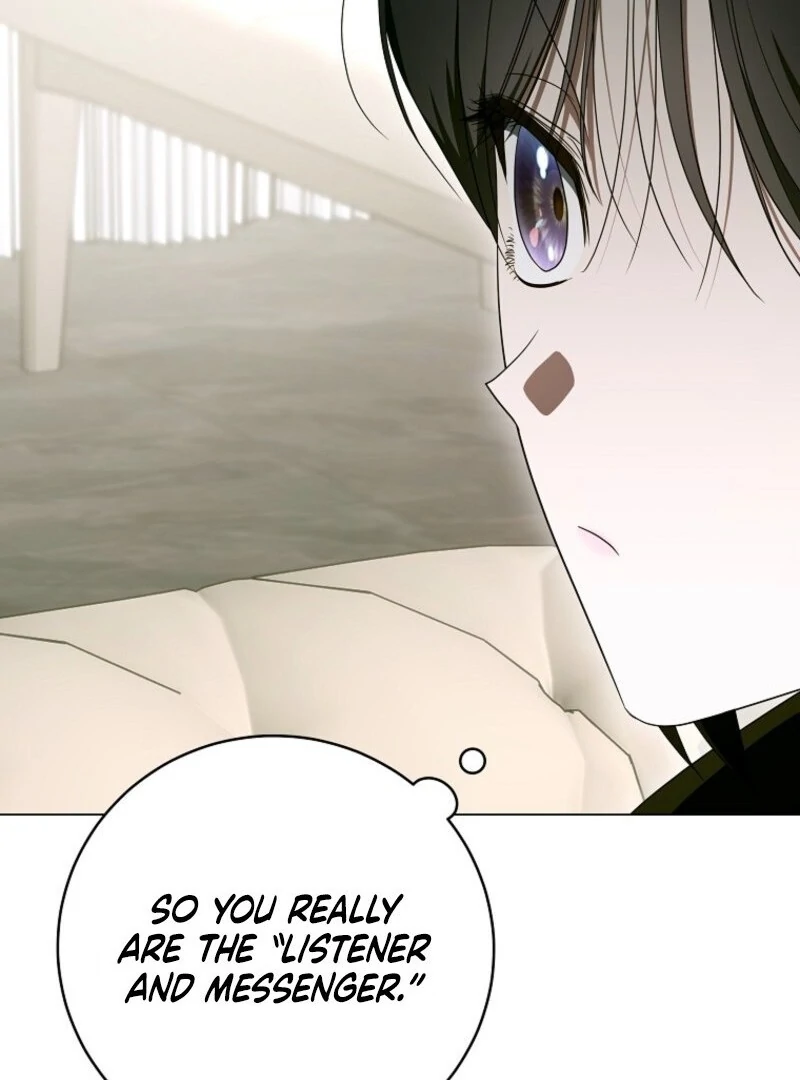 The Rankers Guide to Live an Ordinary Life Chapter 55 586 039