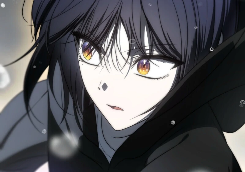 The Rankers Guide to Live an Ordinary Life Chapter 68 565 135