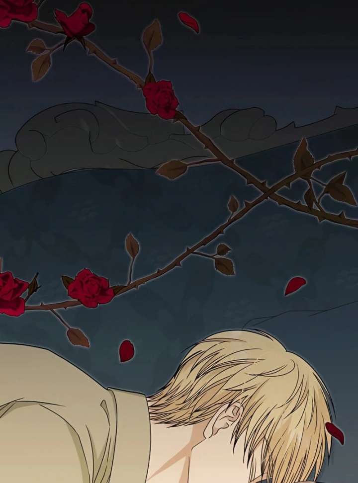 The Reason the Abandoned Fake Princess Returned Chapter 14 480 002