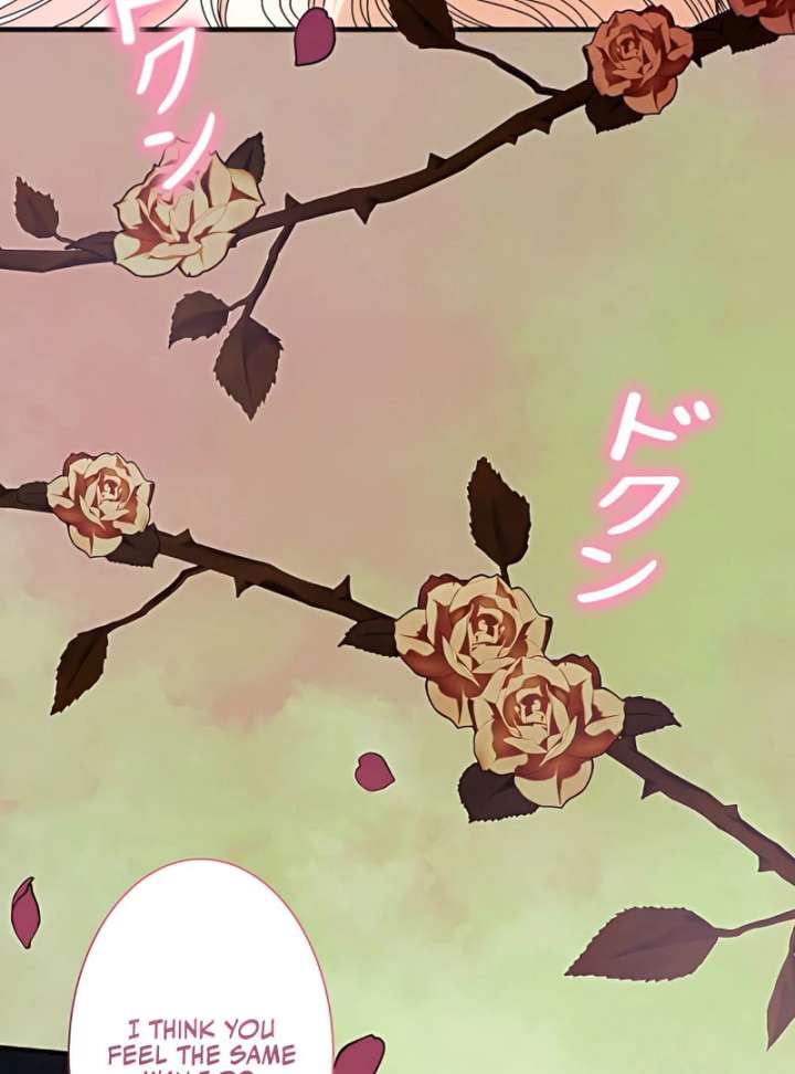 The Reason the Abandoned Fake Princess Returned Chapter 14 484 006