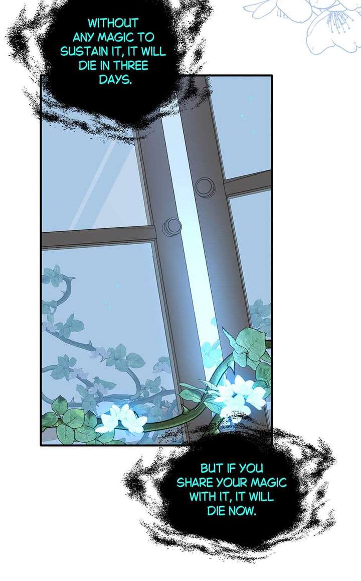 The Reborn Witch Raises a Templar Chapter 12 173 34