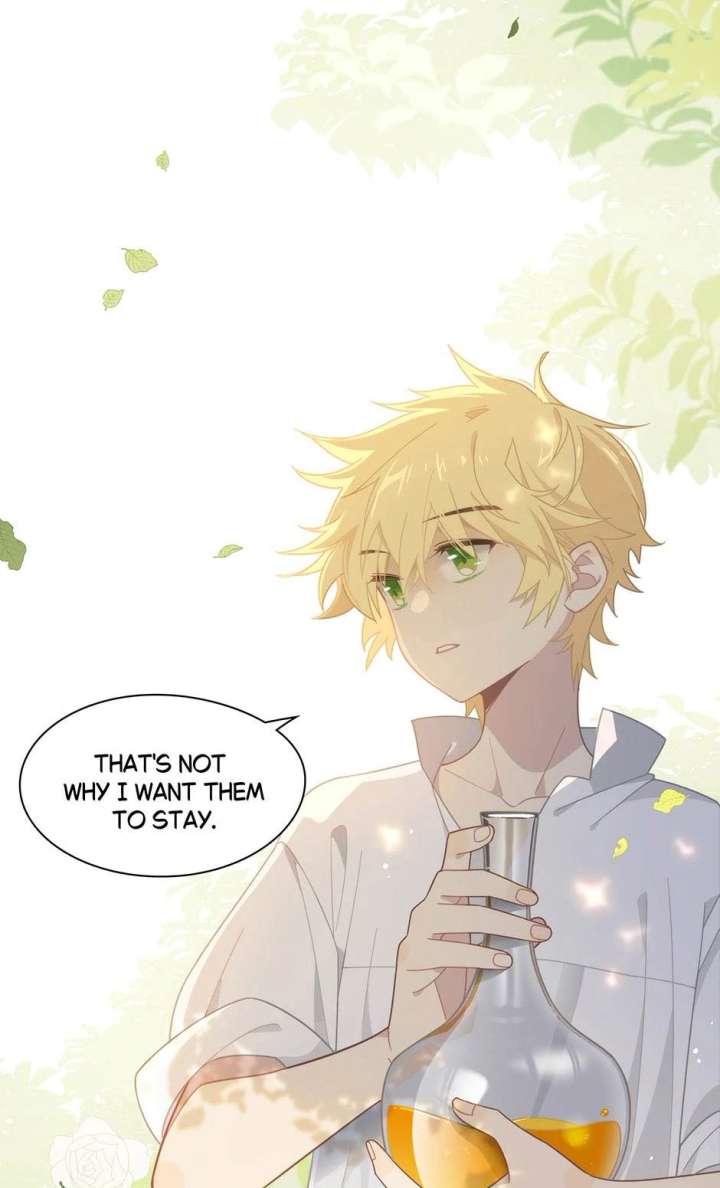 The Reborn Witch Raises a Templar Chapter 14 144 14