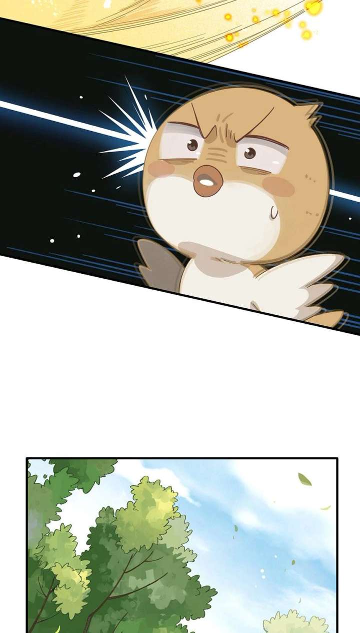 The Reborn Witch Raises a Templar Chapter 15 141 17